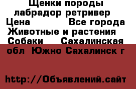 Щенки породы лабрадор ретривер › Цена ­ 8 000 - Все города Животные и растения » Собаки   . Сахалинская обл.,Южно-Сахалинск г.